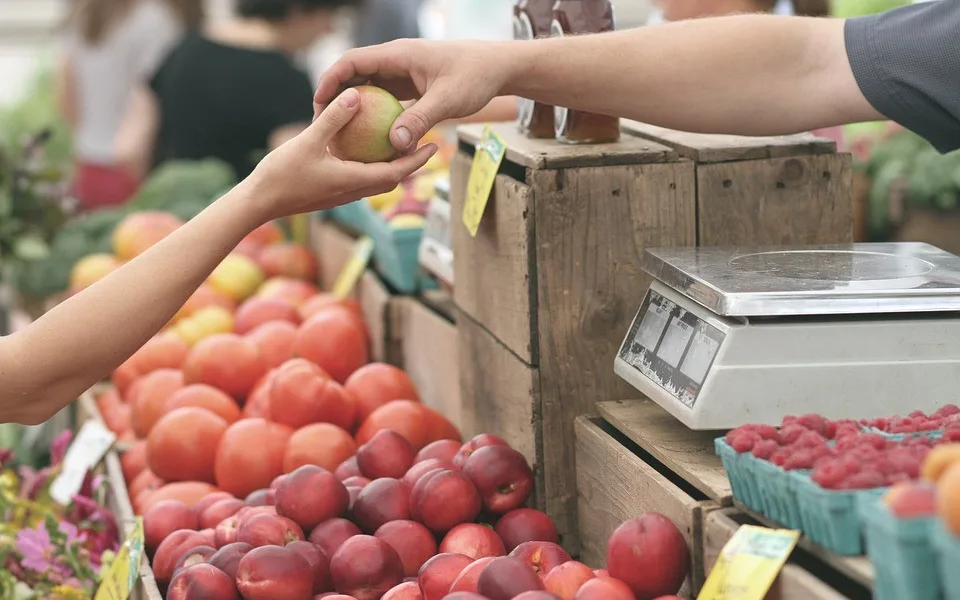 Do Hradce Králové se vrátí farmářské trhy. Pořádat je budou samotní regionální výrobci.