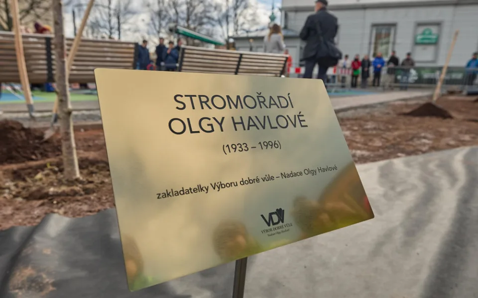 V Trutnově vysadili pět sakur na památku Olgy Havlové. Letos by se dožila 90 let