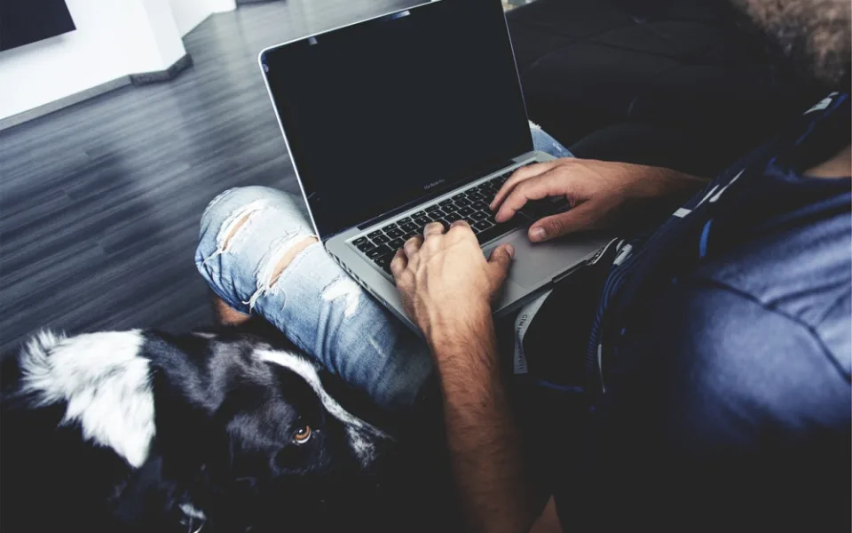 Podvodníci na internetu nabízeli štěňata retrívrů. Šlo o promyšlený podvod.
