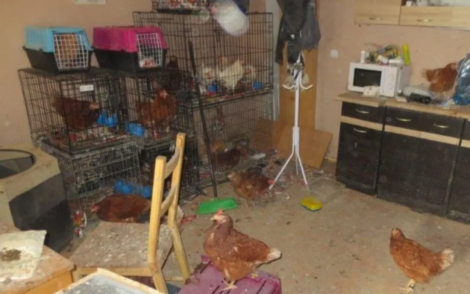 Veterináři našli v chovu v Borovničce na Trutnovsku přes 200 týraných zvířat