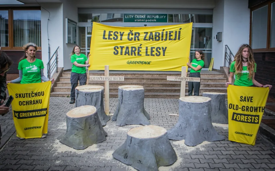 Zástupci Greenpeace před sídlem Lesů ČR protestovali proti kácení starých lesů