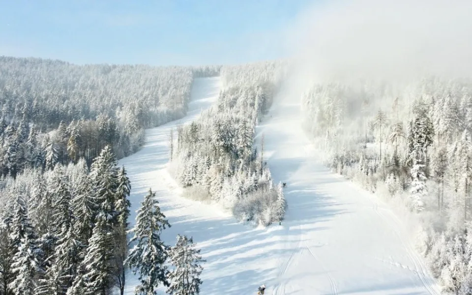 ski