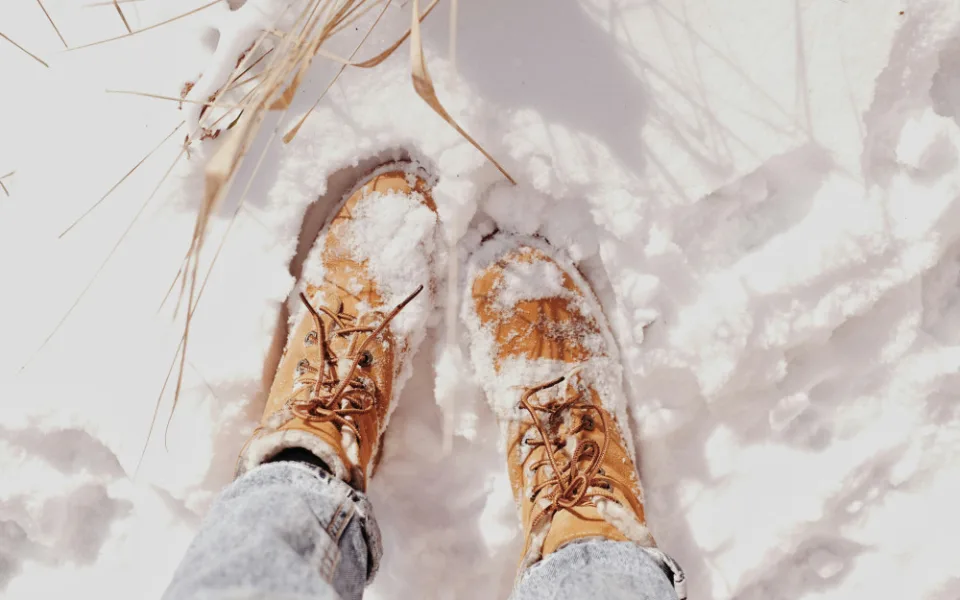 valeriia-miller-hez5uvsaqzc-unsplash1