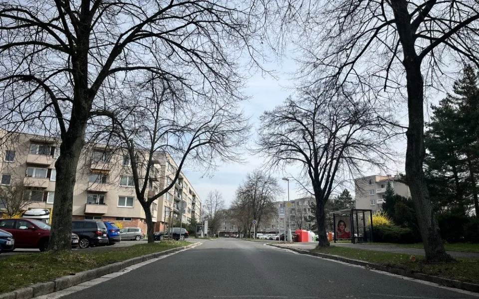 V hradeckých Malšovicích bude nový teplovod, k zemi kvůli němu půjdou desítky stromů