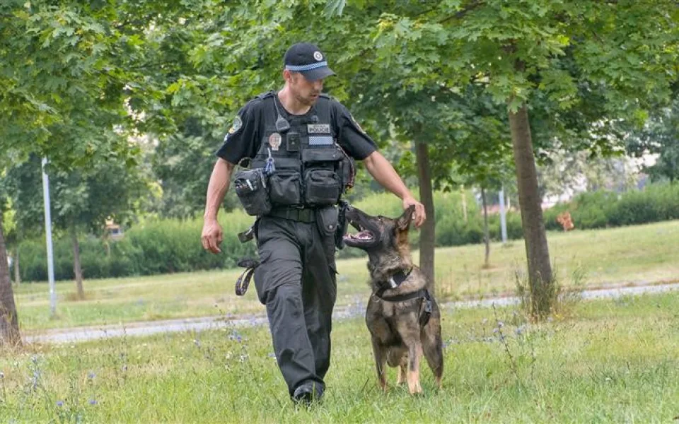 policie