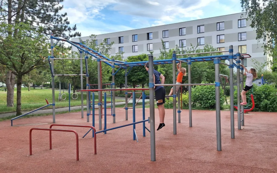 workout