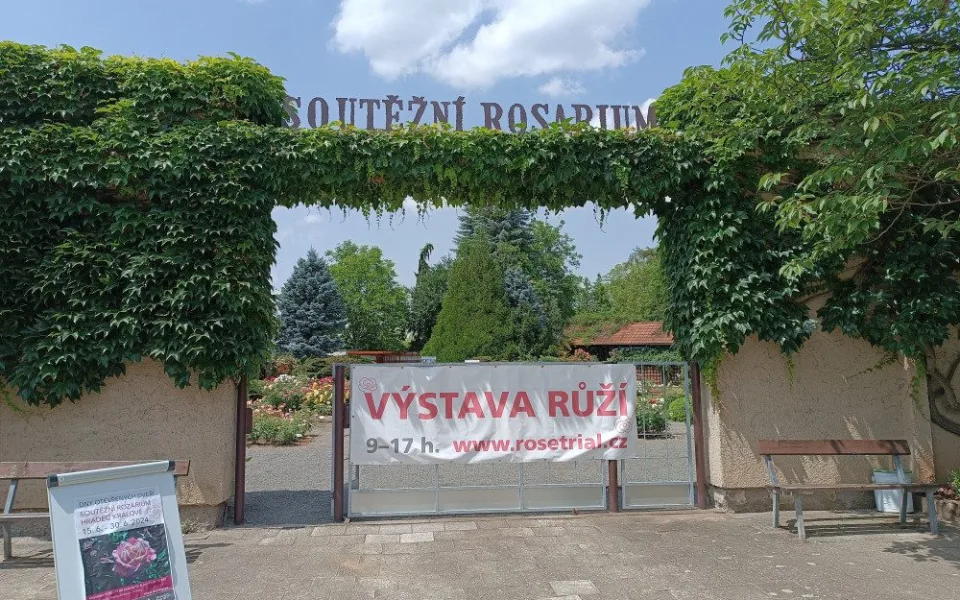 FOTO: Růže odkvétají. Rozárium v Hradci Králové rozárium zavírá