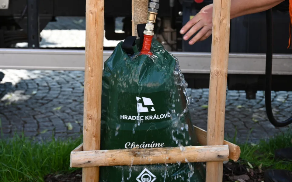 Hradec Králové pořídil nové vaky na zavlažování stromů. Použil peníze re-use projektu