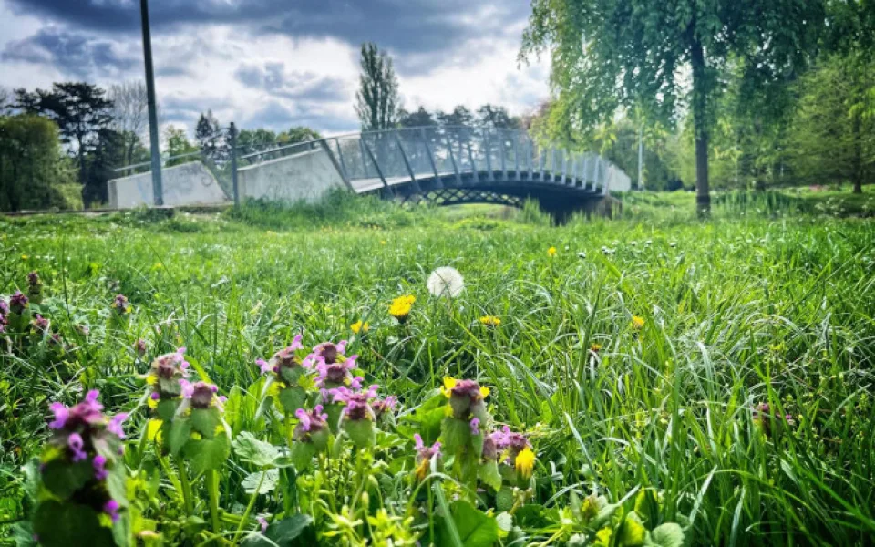 Radnice chce modernizovat Šimkovy sady. Nechává zpracovat studii za půl milionu