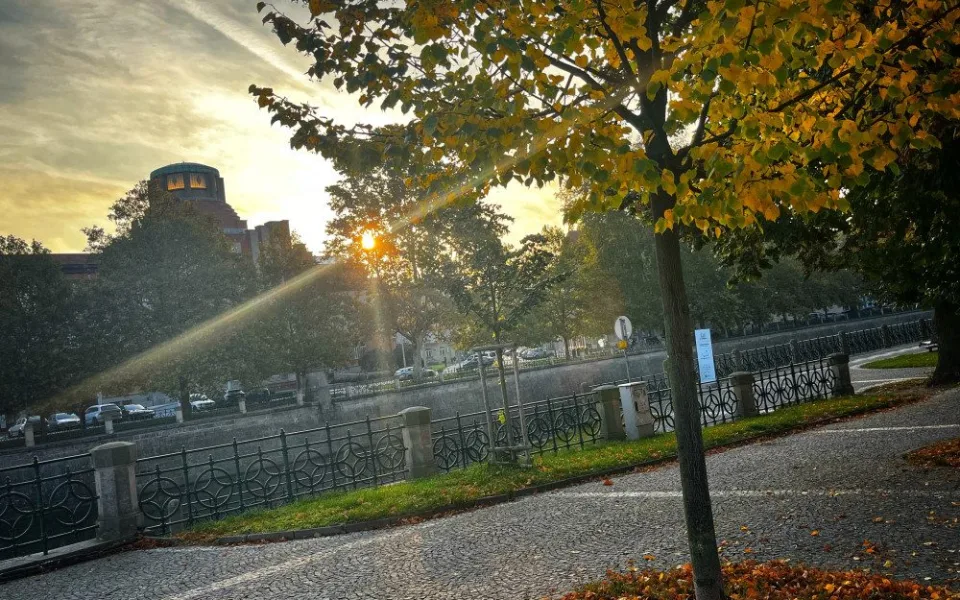 Hradec bude zelenější, Technické služby vysadí pět set stromů