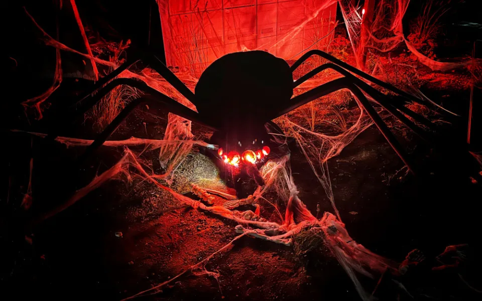 Halloweenským hitem jsou v kraji pavučiny, pavouci a lebky