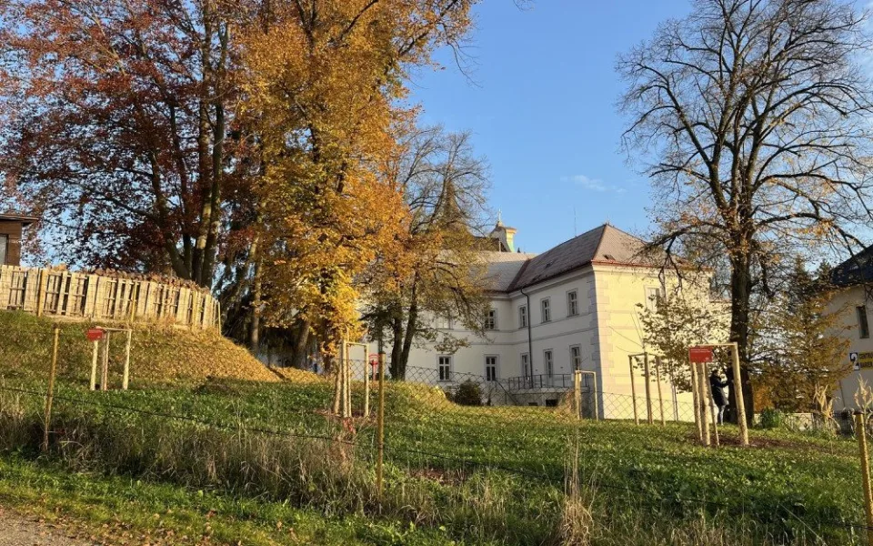 V Nové Pace obnovují lesopark v areálu kláštera. Zeleň dostane druhou šanci