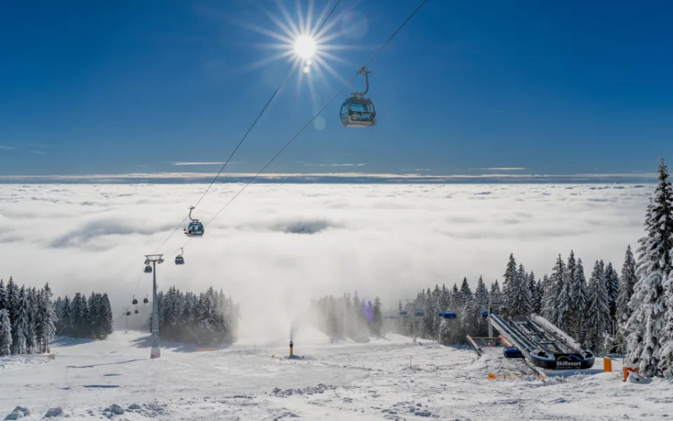 ski