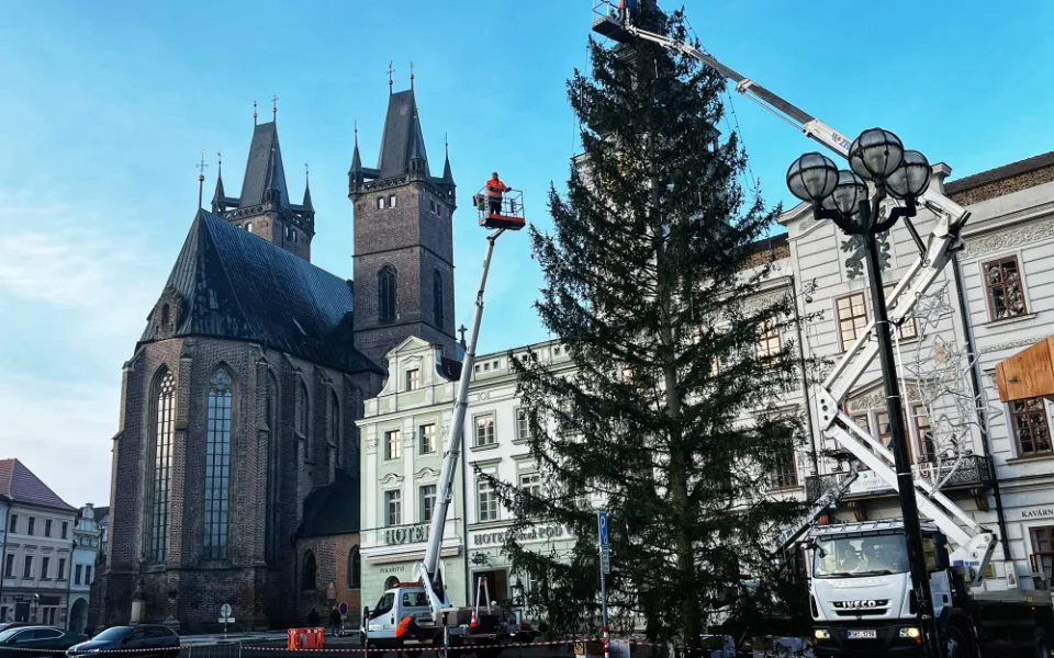 Vánoční strom dneska slavnostně rozsvítí Hradec, Dvůr Králové i Trutnov