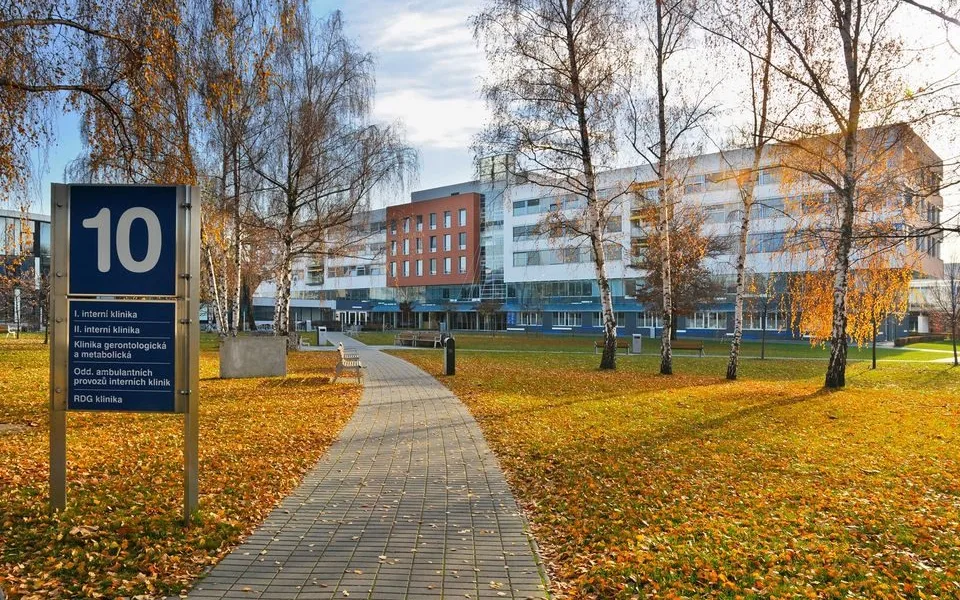 Nejspokojenější pacienty mají v Hradci Králové, špitál obhájil prvenství