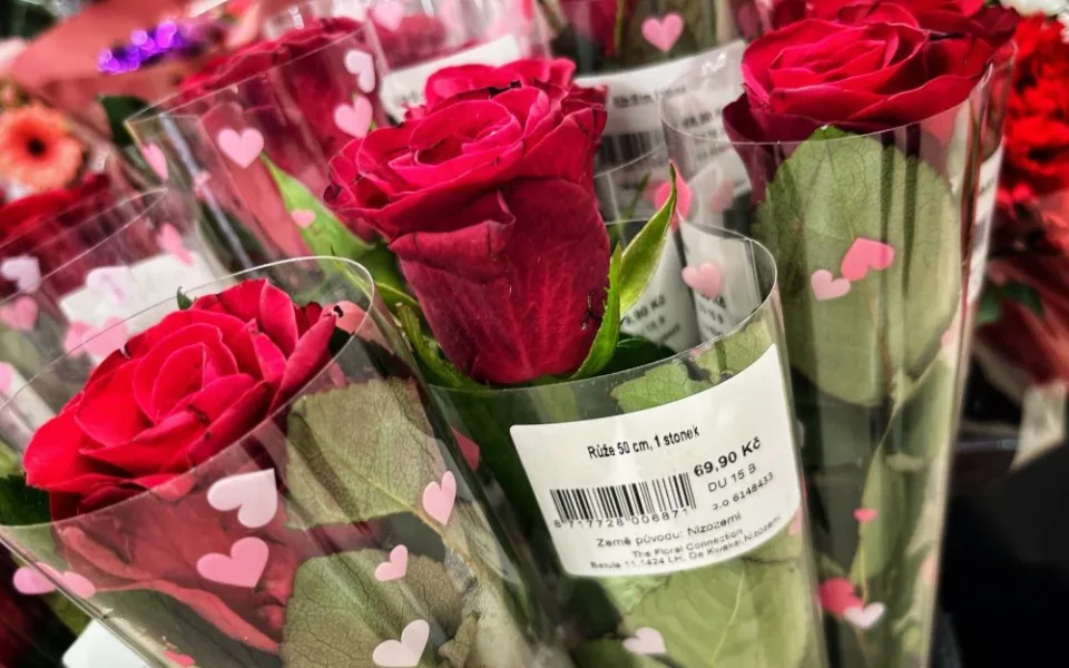 ANKETA: V Hradci si můžete na Valentýna dopřát lanýže i tatárák, růže za osmdesát