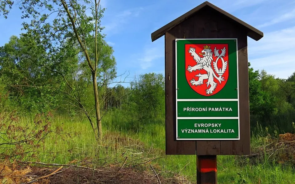 ilustrační foto
