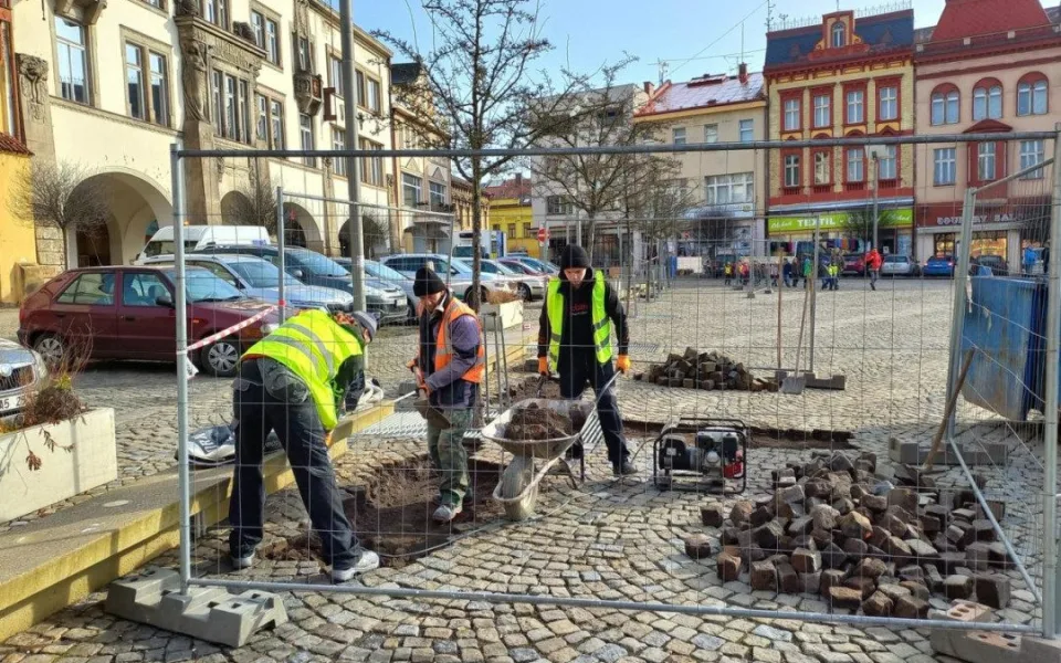 Dvůr Králové vyměňuje zeminu pod stromy kolem náměstí T. G. Masaryka