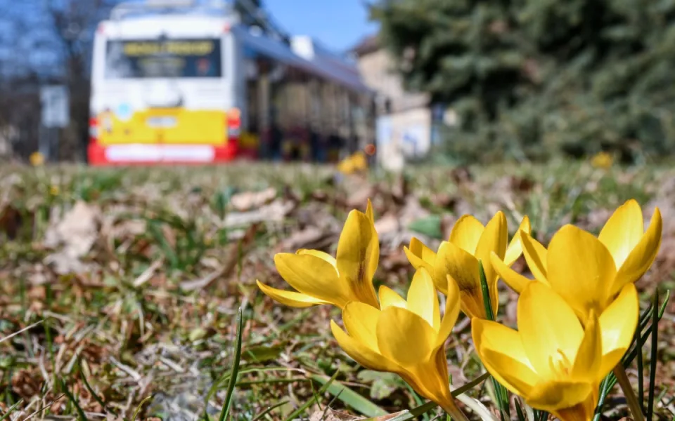 FOTO: V Hradci Králové rozkvetlo několik tisíc květin. Vysázeli je pracovníci technických služeb