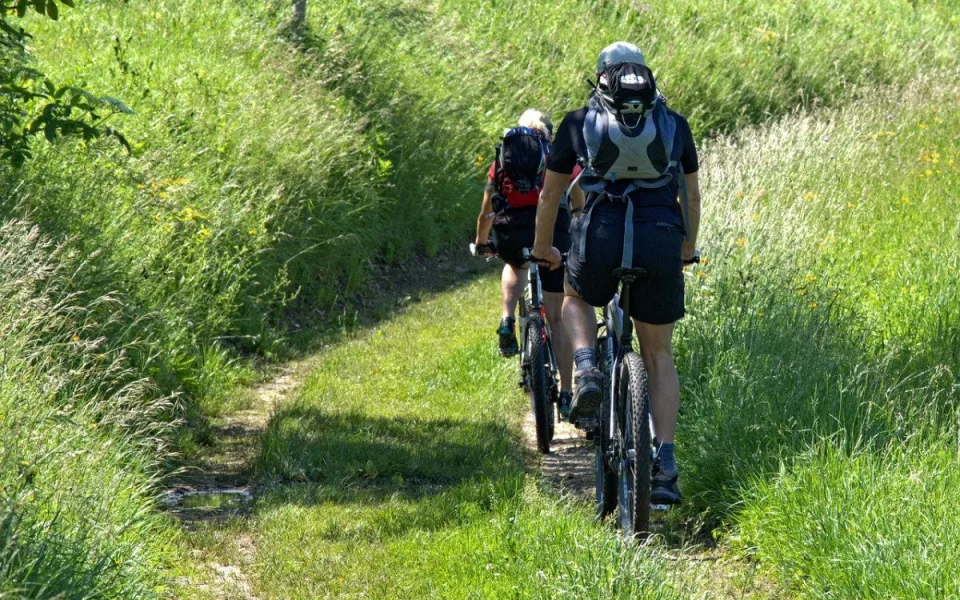cyklo
