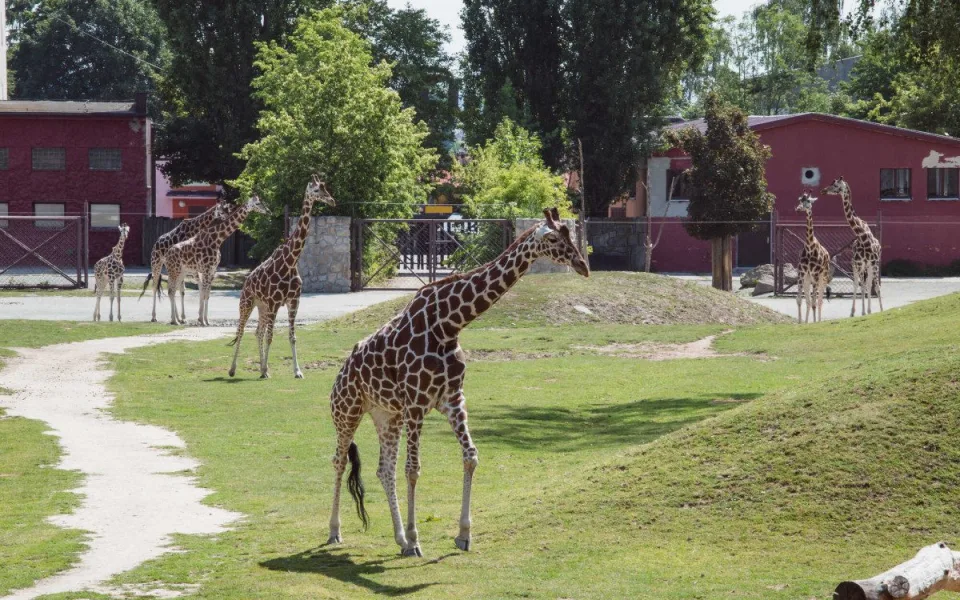Objevte krásy Královéhradeckého kraje: Nejlepší tipy na výlety