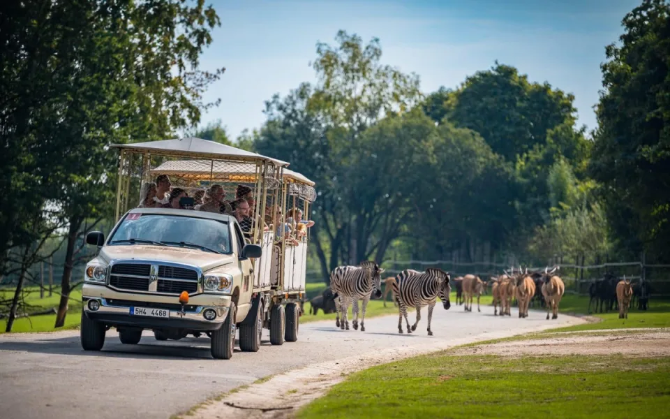 Safari Park Dvůr Králové za první čtyři dny letní sezony navštívily tisíce lidí