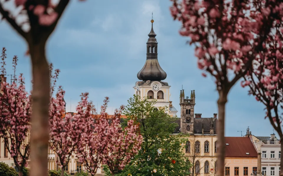 Městské informační centrum v Hořicích se po rekonstrukci vrací do radnice