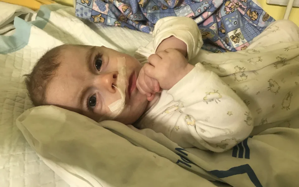 Samík z Vamberka bojuje s těžkou nemocí. Léčba stojí tisíce měsíčně a pojišťovna nepomáhá