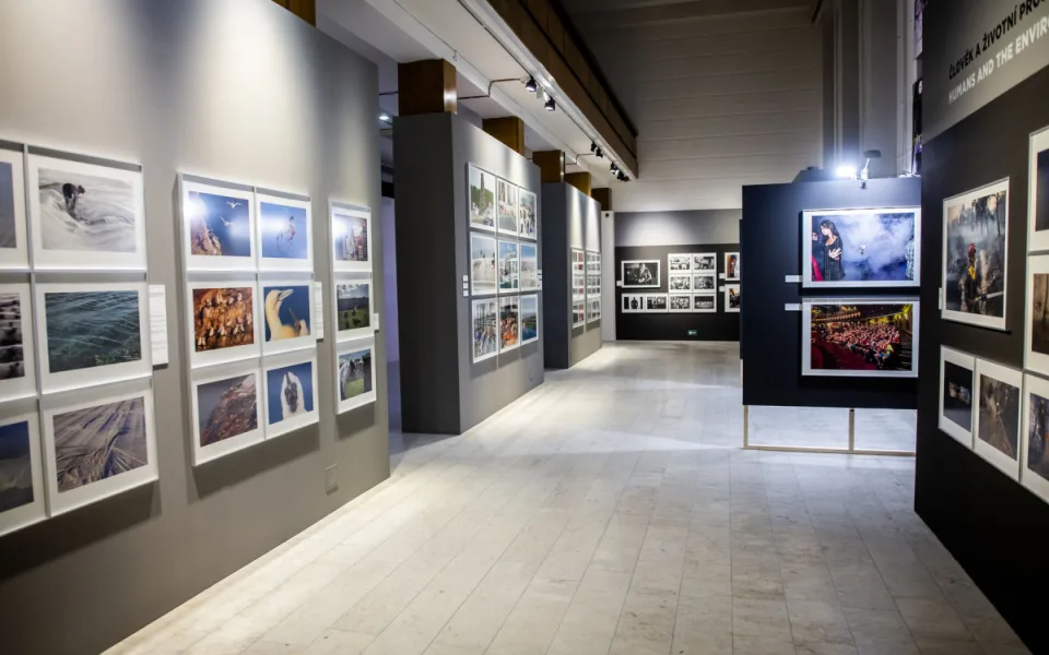 muzeum
