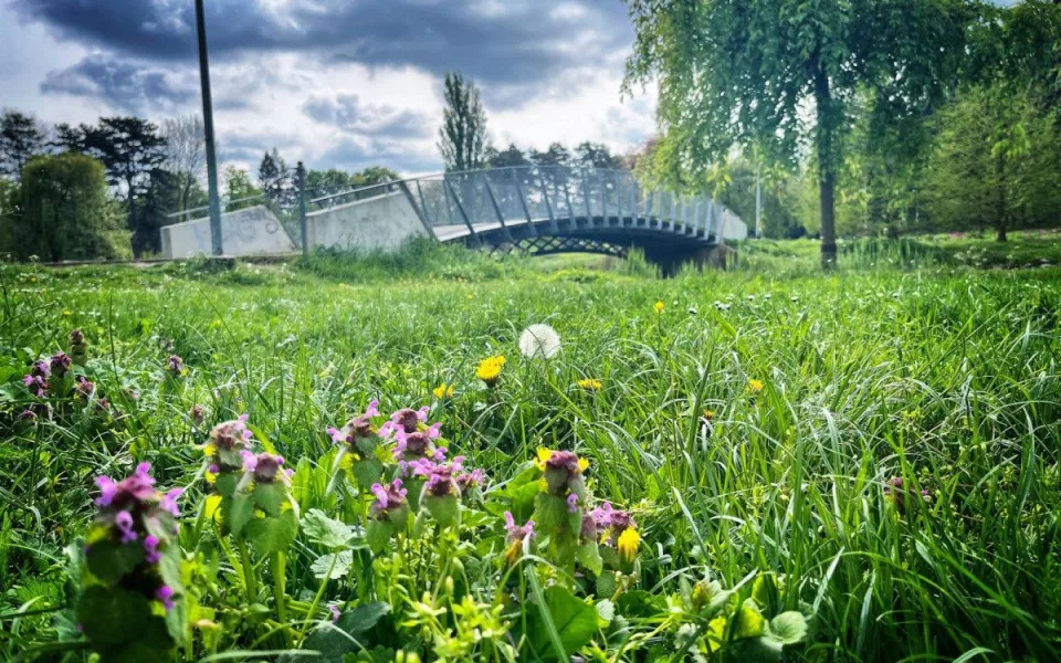 park