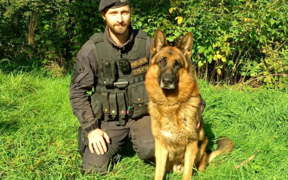 Psovod a pes Sancho v akci: Žena v Trutnově se služebního psa lekla a vzdala se