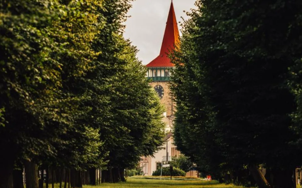 Jičín vykácí 40 stromů z lipové aleje. Podle radnice jsou nebezpečné