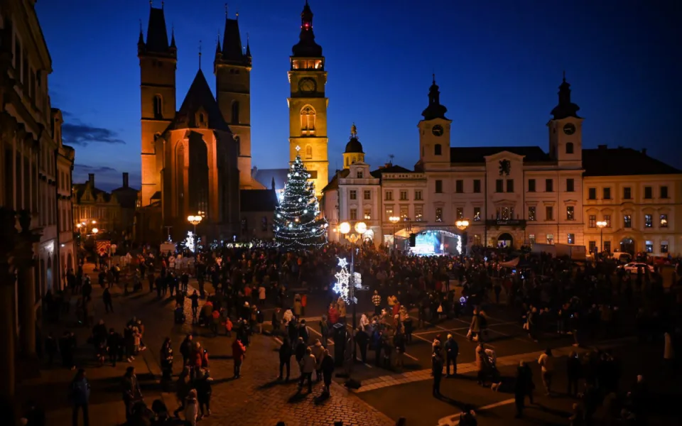 Hradec hledá vánoční stromy. Město nabízí dřevo i odfrézování pařezu zdarma