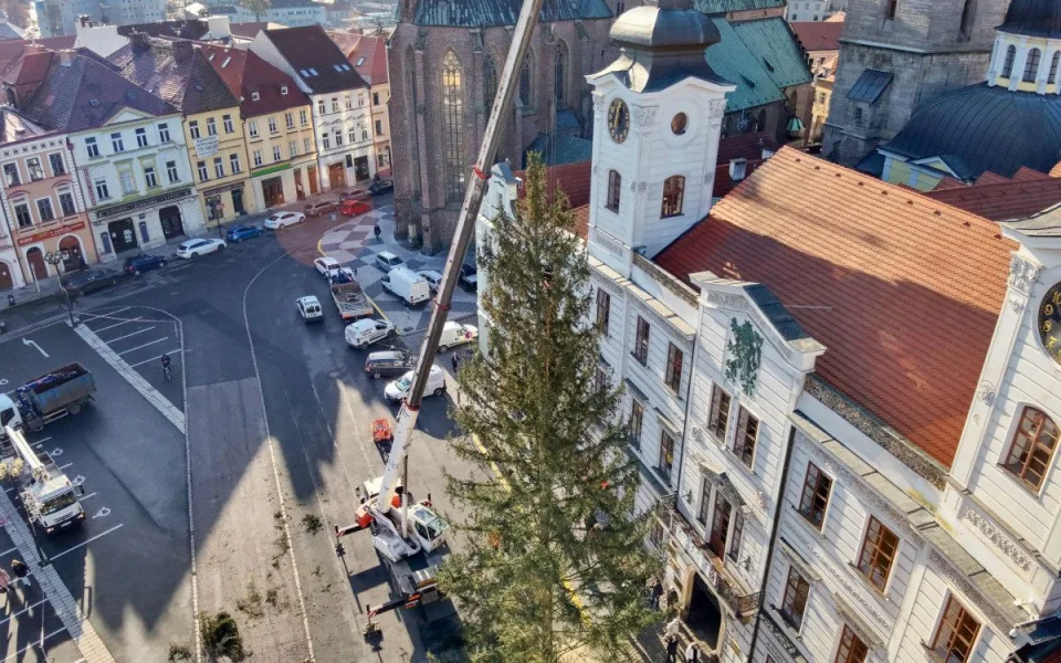 Hradec už má vybrané vánoční stromy. Radnice však zatím tají, odkud budou