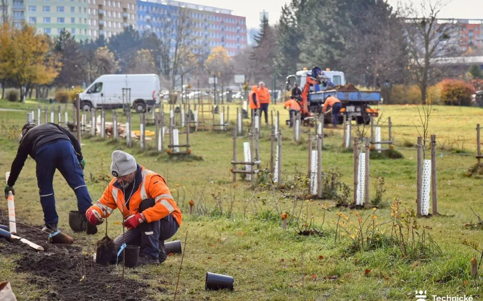 Ovocný sad na Moravském Předměstí v Hradci Králové se rozšíří o nové stromy i keře