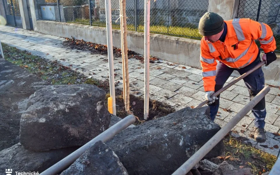Technici při výsadbě stromů čelí nečekaným nástrahám. Zakopané suti a odpadu