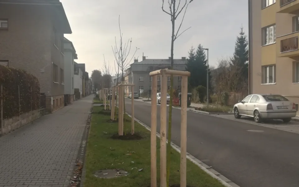 Hronov má ve městě novou zeleň. Odborníci tam vysázeli čtyři desítky nových stromů