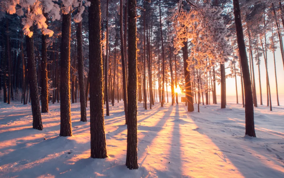 Tento týden se rtuť teploměru nad nulu nepodívá. Budeme si užívat jasnou oblohu