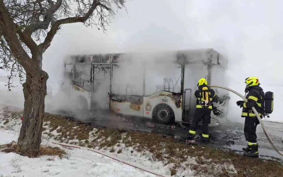 bus