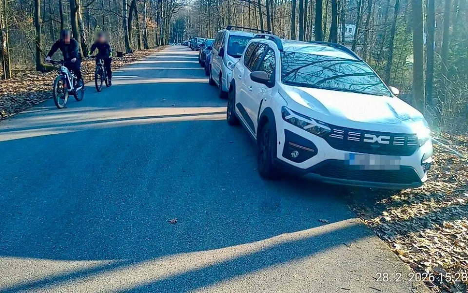Hradečtí strážníci museli v uplynulých dnech řešit hromadné porušování předpisů v hradeckých lesích.
