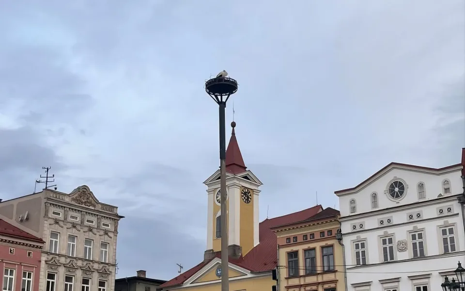 Dnes ráno byl na uměle vytvořeném hnízdě znovu spatřen čáp, což naznačuje, že by nové místo mohl přece jen přijmout.