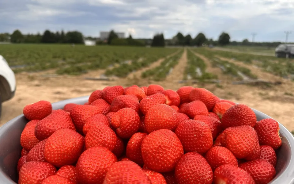 foto: Farma Podhorní Újezd
