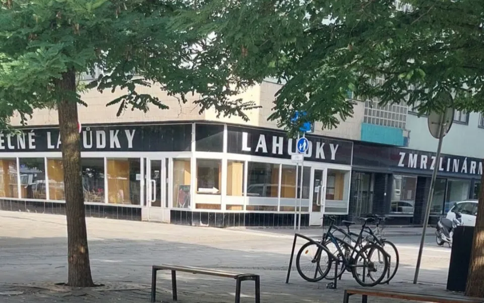 Strážníci dvojici zastihli na třídě Míru poblíž křižovatky s Pernerovou ulicí.