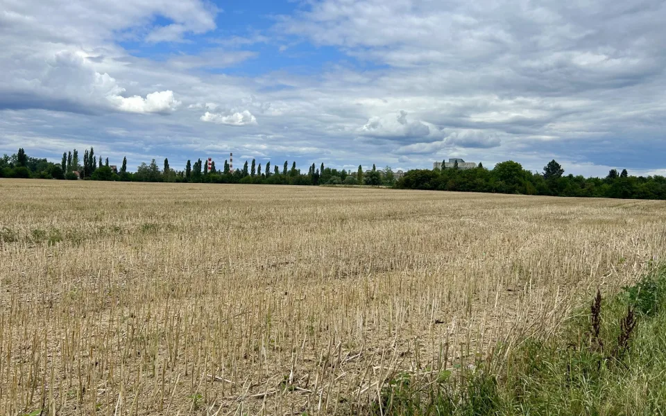 Hradecké Stonehenge v ohrožení. Sedm tisíc let historie stojí proti nové silnici